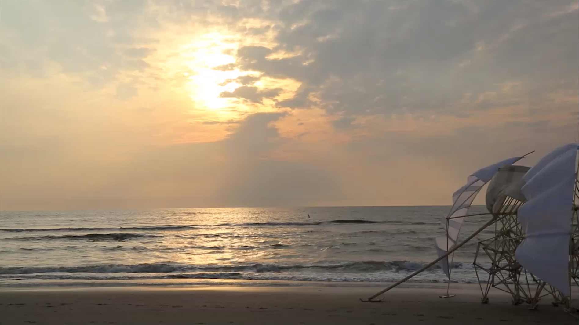 strandbeest on a beach