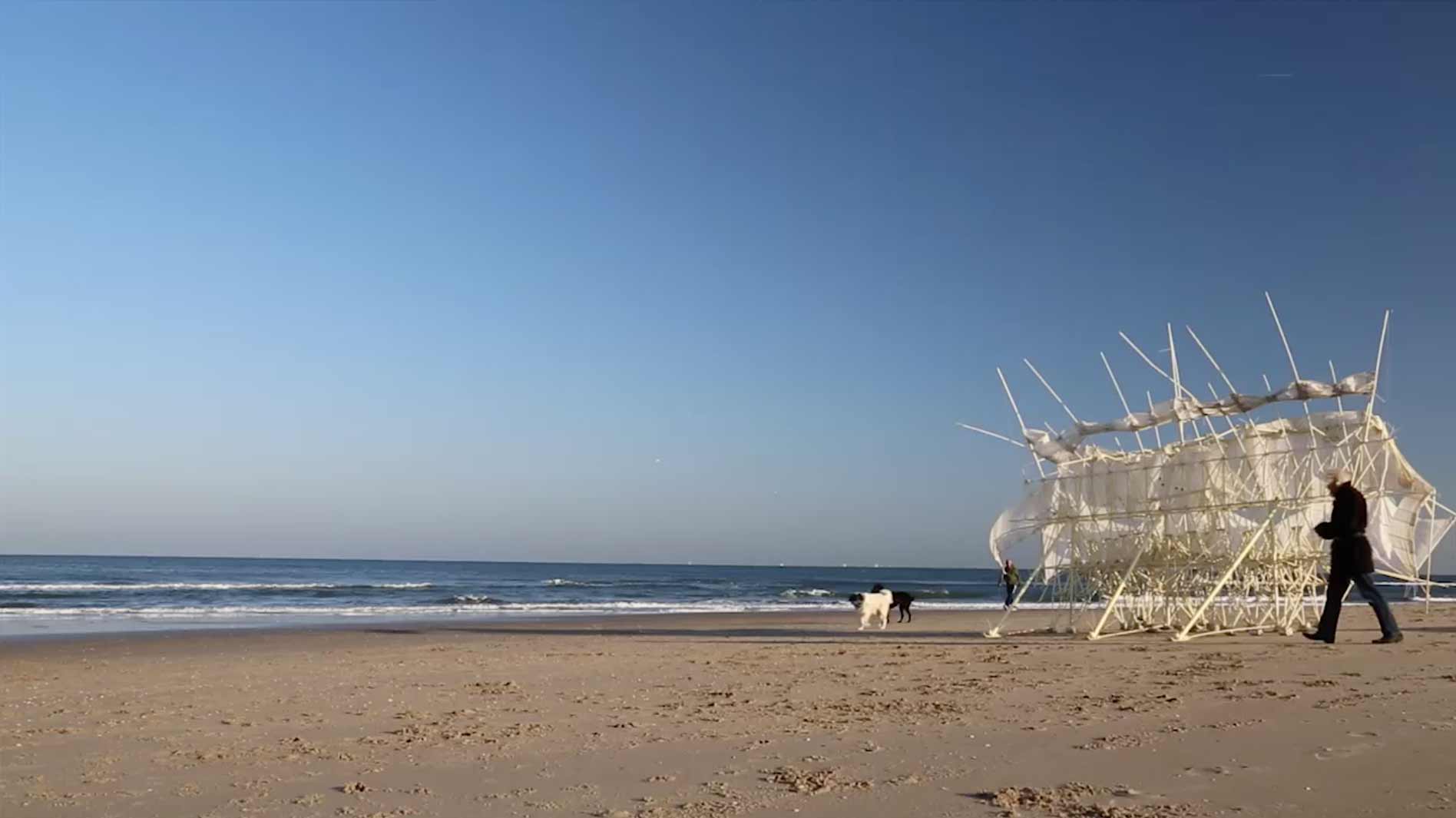 Theo on the beach with a Strandbeest